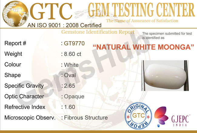 8.60 ct Natural Certified  White Coral/सफ़ेद मूंगा